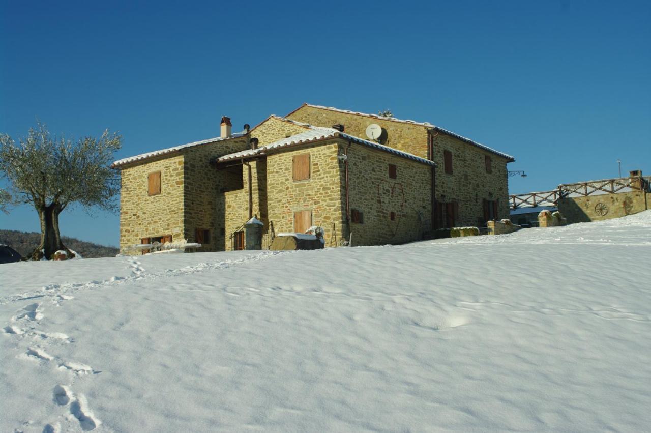 Agriturismo D'Ambiano アレッツォ エクステリア 写真